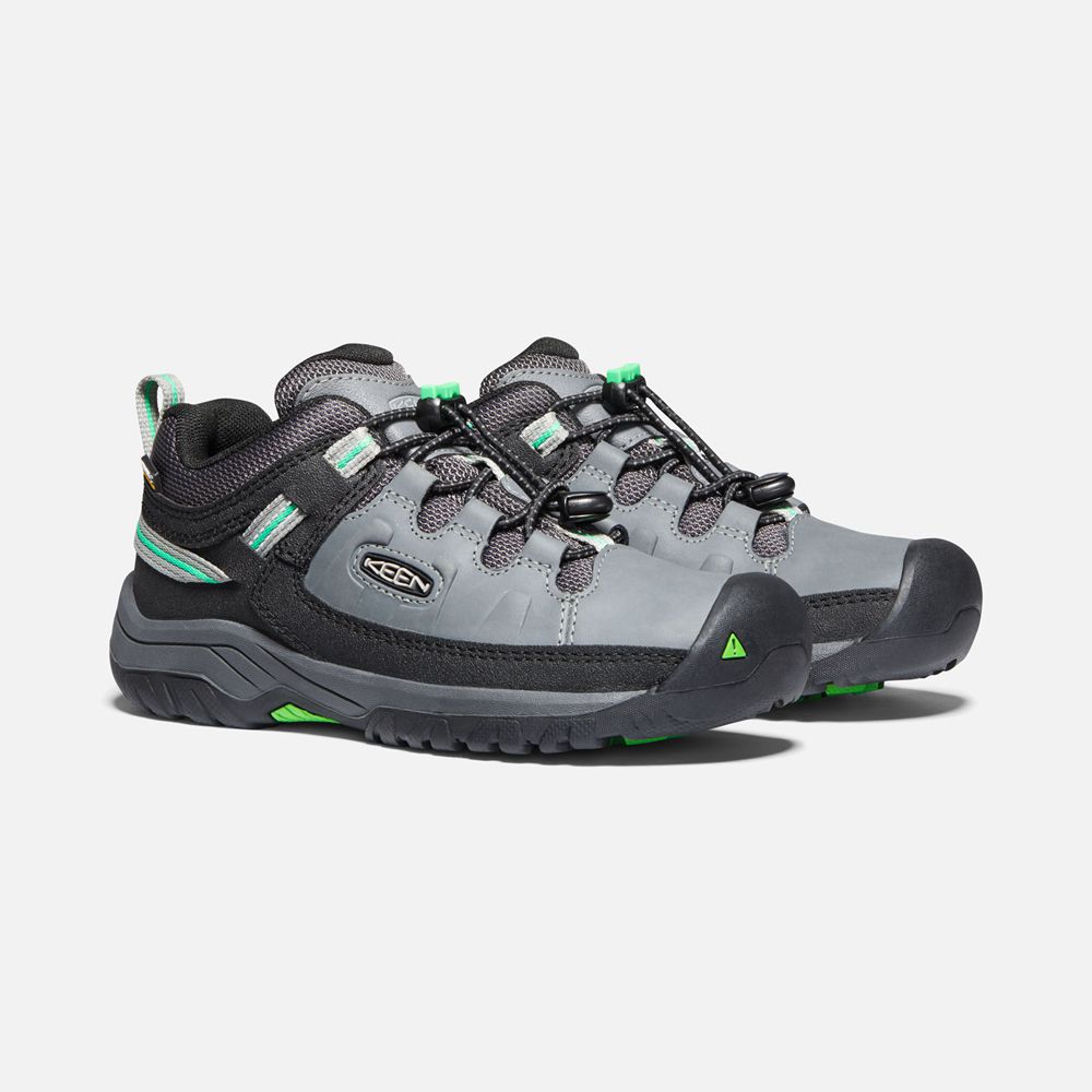 Zapatos de Seguridad Keen Mexico Grises/Verdes - Niños Targhee Waterproof - FT2609583